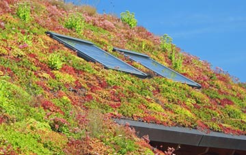High Town living roof systems